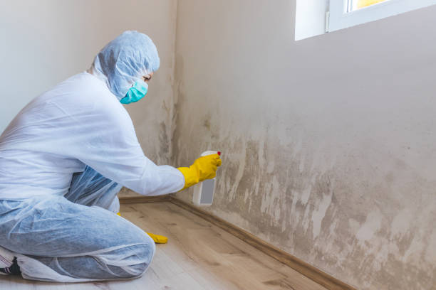 Licensed Bathroom Mold Removal service in Fuquay-Varina, NC - WQB Mold Removal