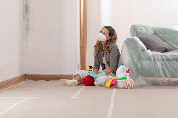 Reliable Bathroom Mold Removal contractor in Fuquay-Varina, NC by WQB Mold Removal